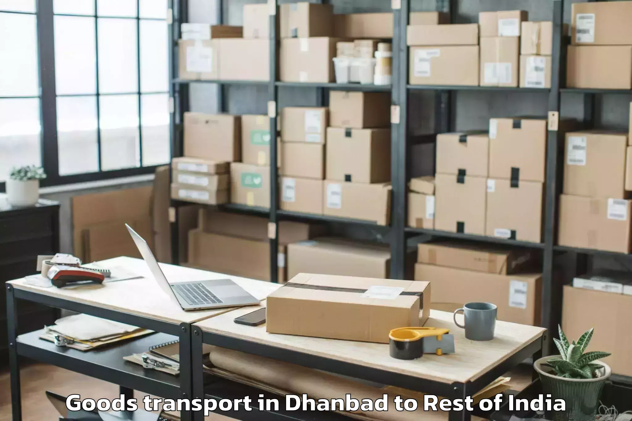 Discover Dhanbad to Charar I Sharief Goods Transport